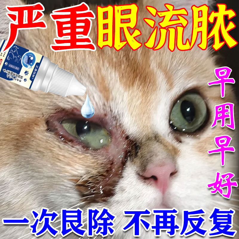 猫咪眼睛发炎流泪红肿流脓消炎去泪痕滴眼液眼屎多宠物猫眼药水JY