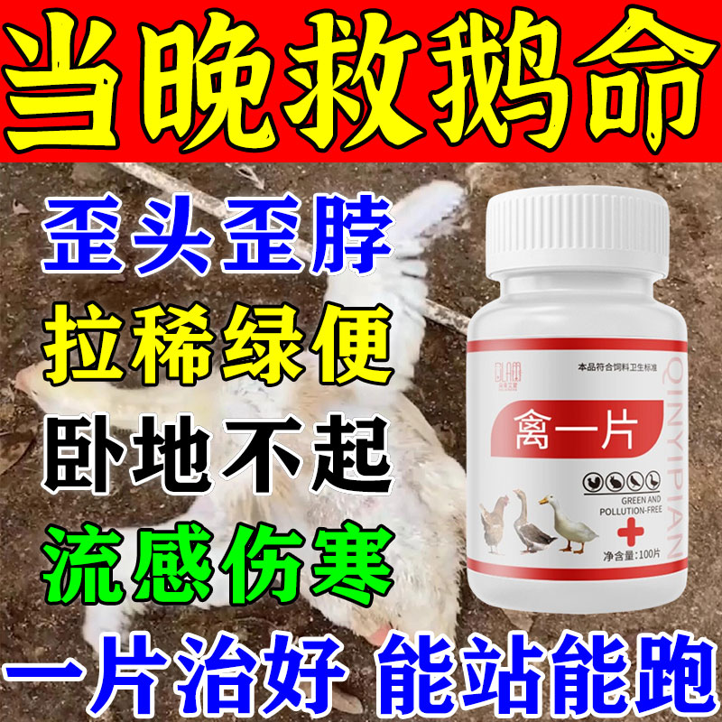 鹅病专用腿软瘫痪鸡鸭救命药浆膜炎特效瘸脚腿站不起来流感歪头JY