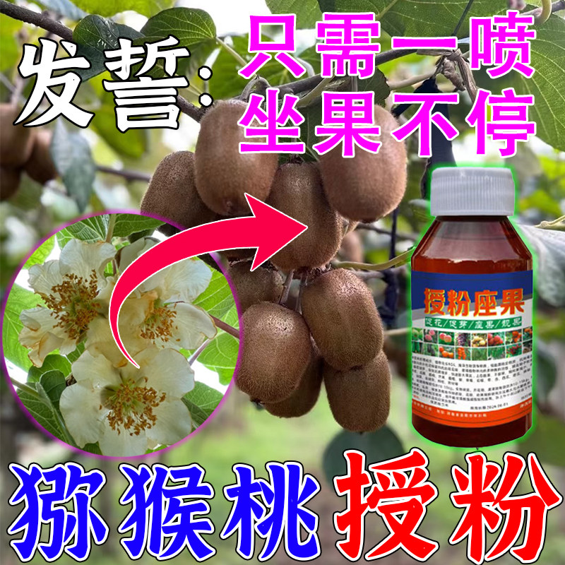 【授粉王】猕猴桃授粉专用图片