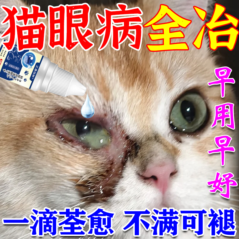 猫咪眼睛发炎流泪红肿流脓消炎去泪痕滴眼液眼屎多宠物猫眼药水JY