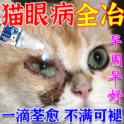 猫咪眼睛发炎流泪红肿流脓消炎去泪痕滴眼液眼屎多宠物猫眼药水JY