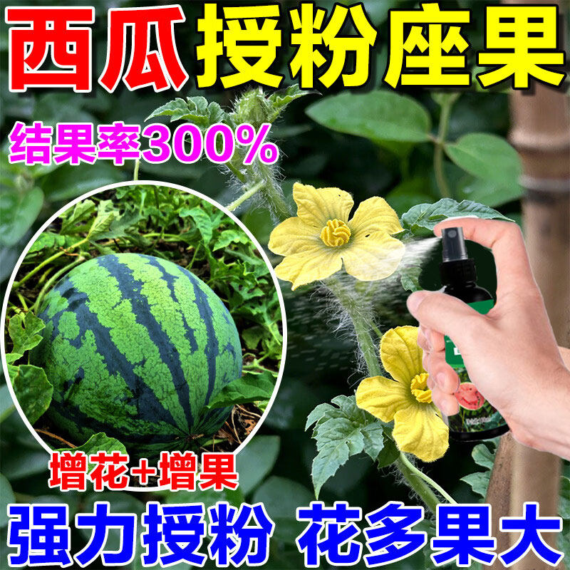 西瓜授粉专用药保花保果防裂增产抗病麒麟无子瓜防畸形专用肥料b