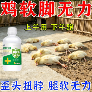 软腿康鸡瘫站不起来软脚滑膜浆膜专药用痪鸡鸽鸭鹅病卧地肿关节G