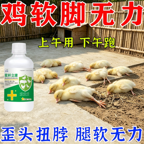软腿鸡瘫站不起来软脚滑膜浆膜专药用痪鸡鸽鸭鹅病卧地肿关节G