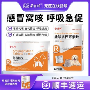 狗狗猫咪哮喘药感冒咳嗽支气管炎心脏肥大宠物用止咳平喘药肺心康