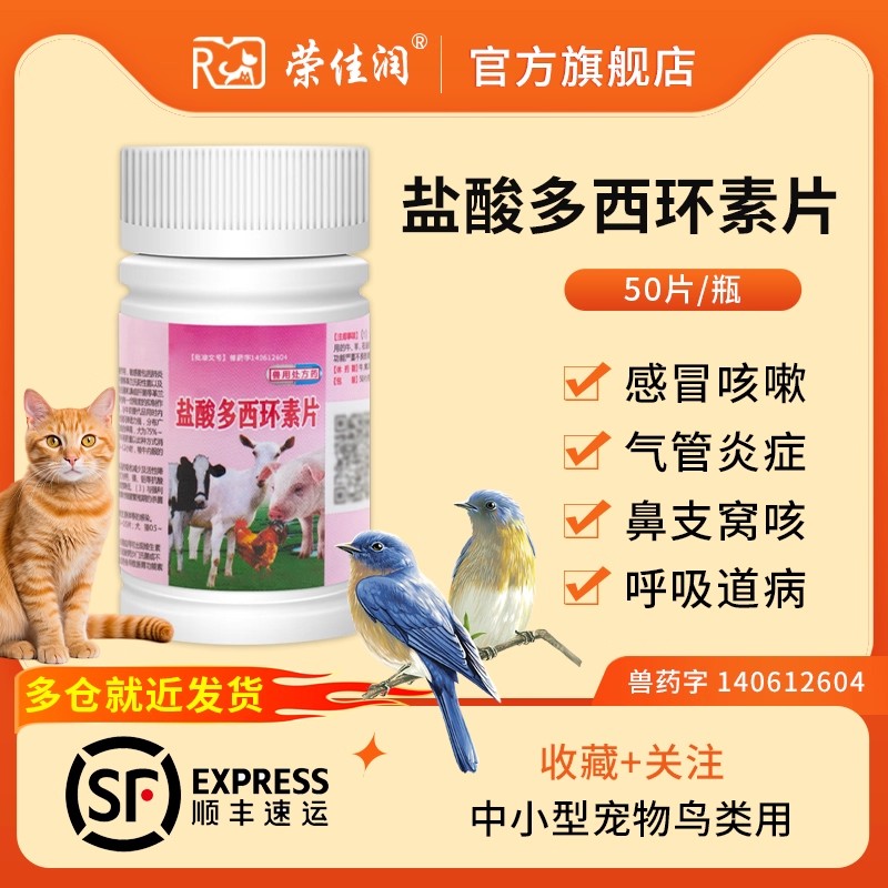 多西环素呼吸道感冒咳嗽气管炎