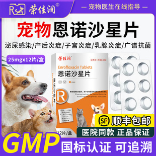 荣佳润宠物猫咪狗狗产后消炎药尿道炎尿路感染恩诺沙星片子宫蓄脓