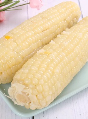 绿色有机张家口玉米小黄白甜糯玉米早餐粗粮代餐加热即食真空包装