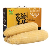 富硒玉米礼盒 有机甜糯黄白玉米新鲜玉米棒真空代餐10根
