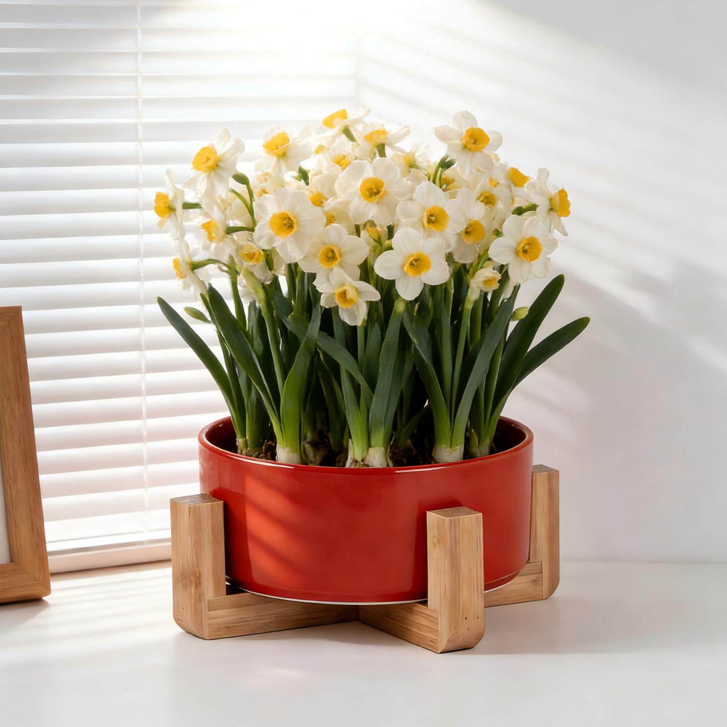 红色复古陶瓷花盆高级感轻奢水培绿植盆栽大口径阳台桌面花盆无孔