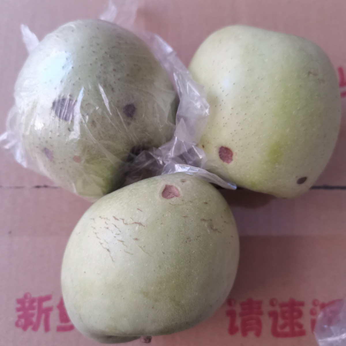 正宗印度青苹果新鲜水果残次果瑕疵黑斑磕碰雹伤刺伤果印冬丑苹果