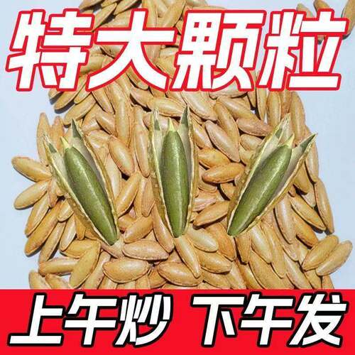 商超款新疆美人甲南瓜子官方店