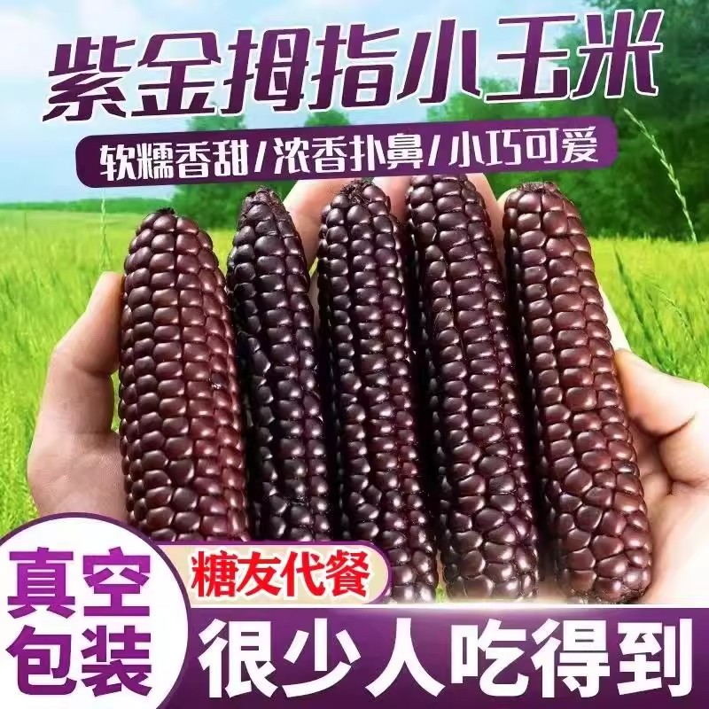 糖尿人专用零食品血糖高无糖精黑糯拇指玉米孕妇糖友早餐主食代餐