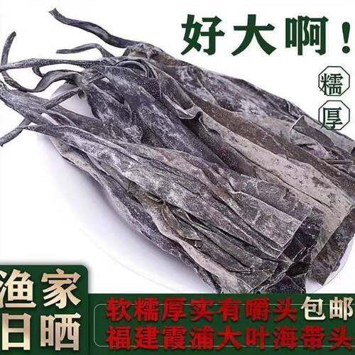 霞浦海带头段45-50cm干货特级厚