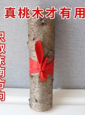 护身祈福乔迁门口摆件挂件野生东南树枝山区真实桃木桃木婴儿