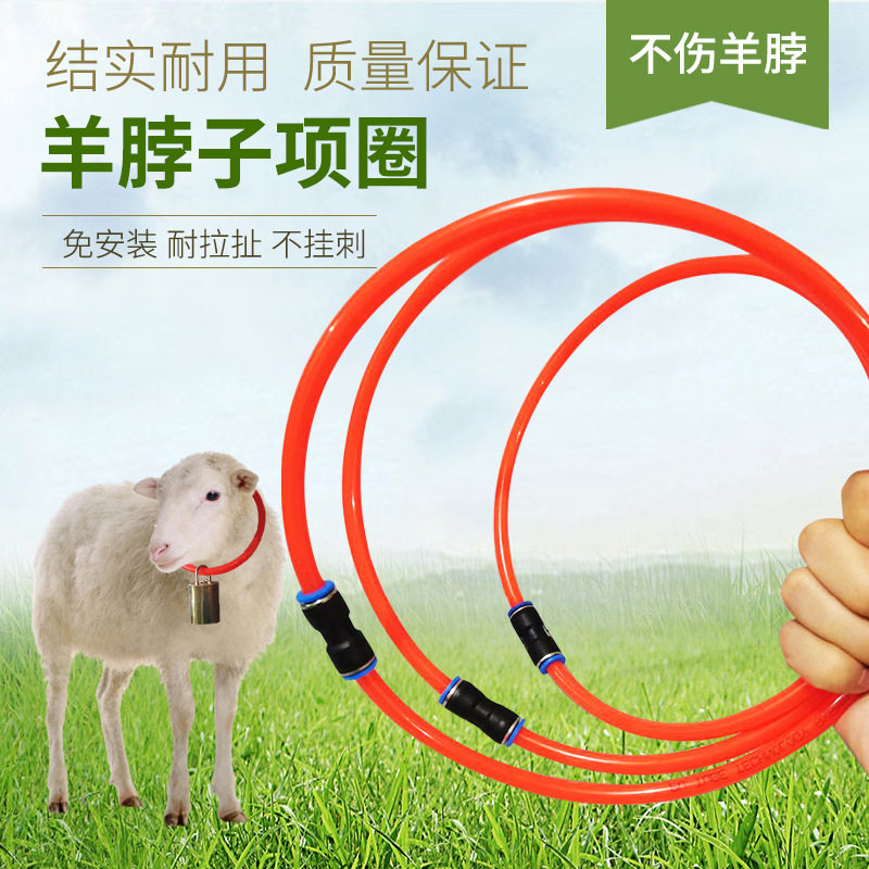 懒人自制羊项圈羊用记号牌羊脖子带号码牌项圈兽用项圈数字牌