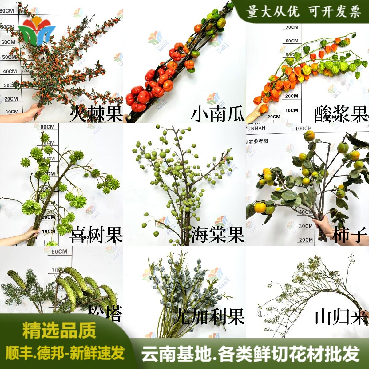 鲜切果实类小众花材山野侘寂风山归来尤加利果中式美学鲜花插花