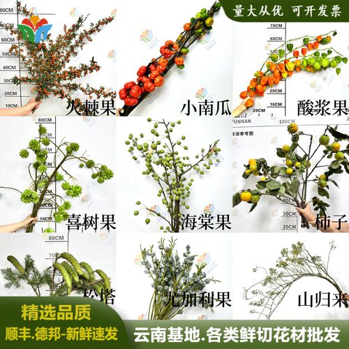 鲜切山野侘寂风尤加利果花材