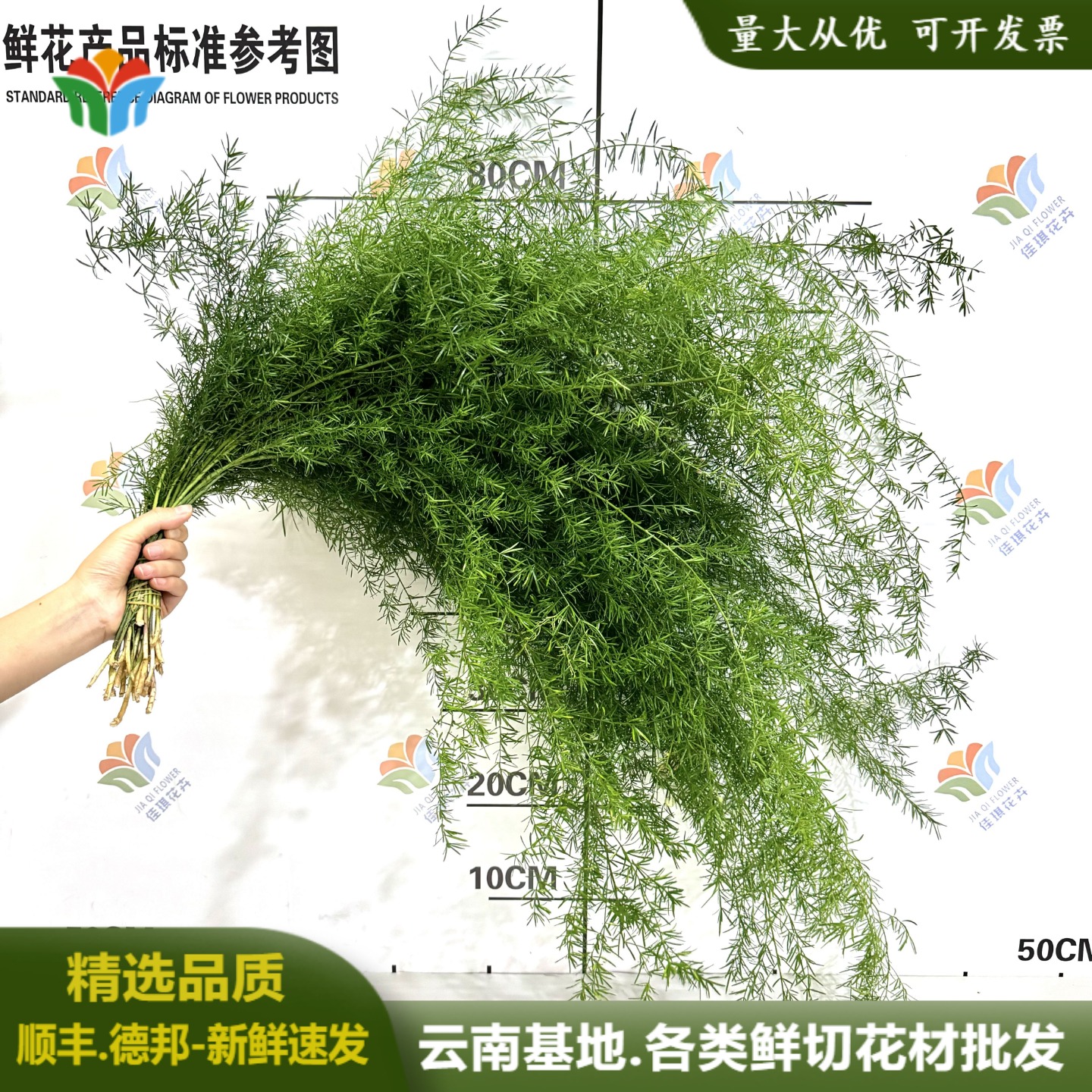 新鲜天门冬鲜切绿色系花材婚庆婚礼鲜花布置打底用森系花拍摄道具