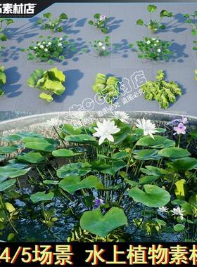 UE5虚幻4 写实睡莲荷花浮萍园林花盆景观道具 水上绿色小花植物