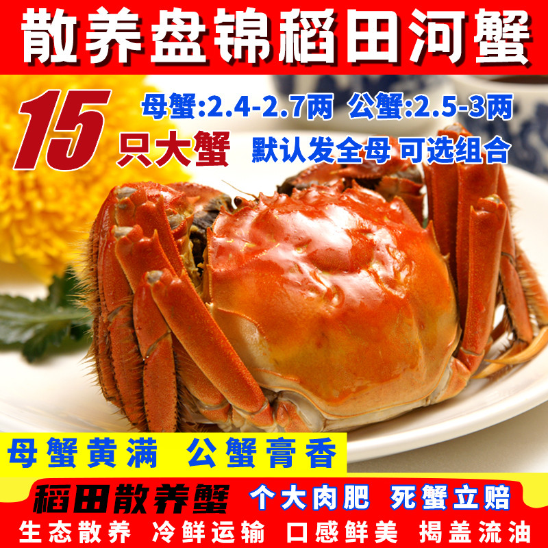 盘锦河蟹鲜活15只2.4-2.7两大蟹全母蟹稻田蟹肥螃蟹礼盒 顺丰包邮