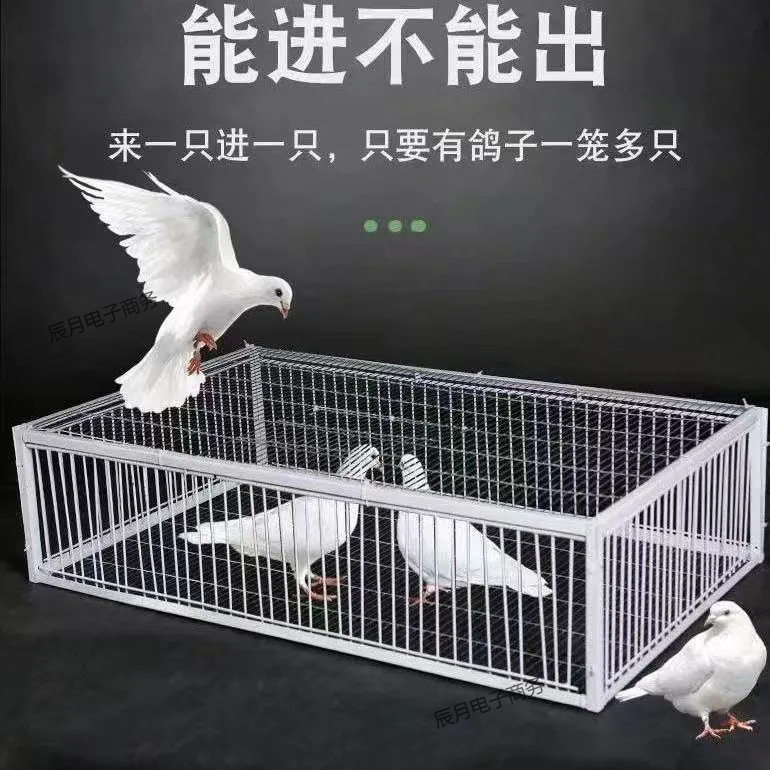 天落笼鸽子笼鸽子活络门只进不出撞门鸽笼铁笼跳笼自动门神器捕捉图片