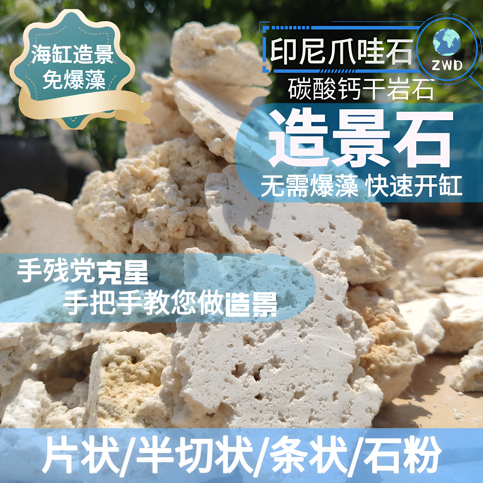 印尼爪哇石海缸珊瑚缸造景免爆藻图片
