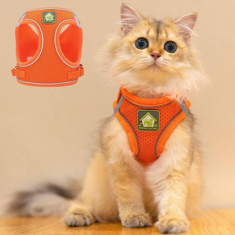 防挣脱猫咪牵引绳背心式猫咪胸背