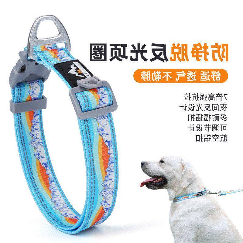 跨境专供宠物项圈狗狗牵引绳防爆