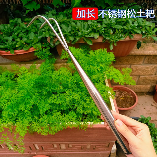 不锈钢小耙子加长家用花盆锄草种花种菜清理挖土松土赶海园林新款