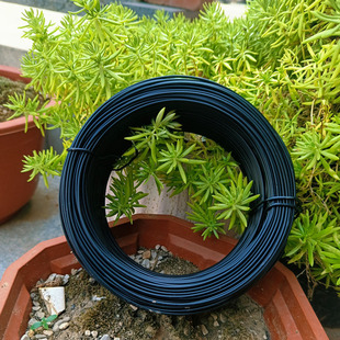 园艺包塑扎丝家用阳台绑花月季扎带葡萄枝户外种花扎线爬藤捆绑