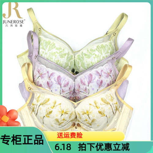 六月玫瑰文胸软钢圈AB中厚杯女小胸聚拢上托收副乳调整型内衣6309