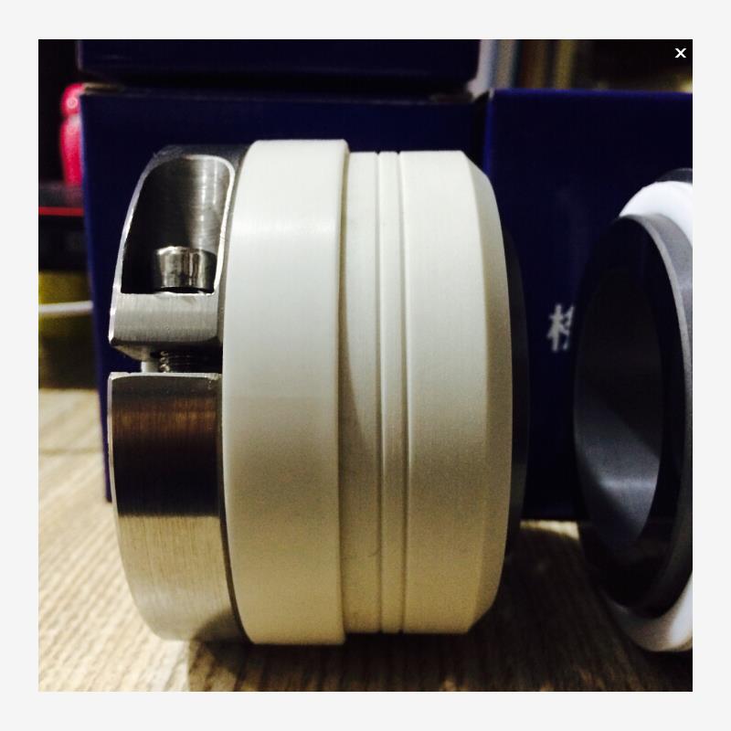 新款机械密封WB2-25/304