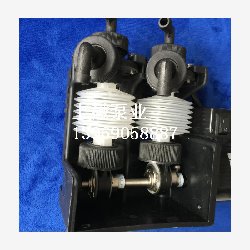 新款上海磁力泵业2DZ-2X