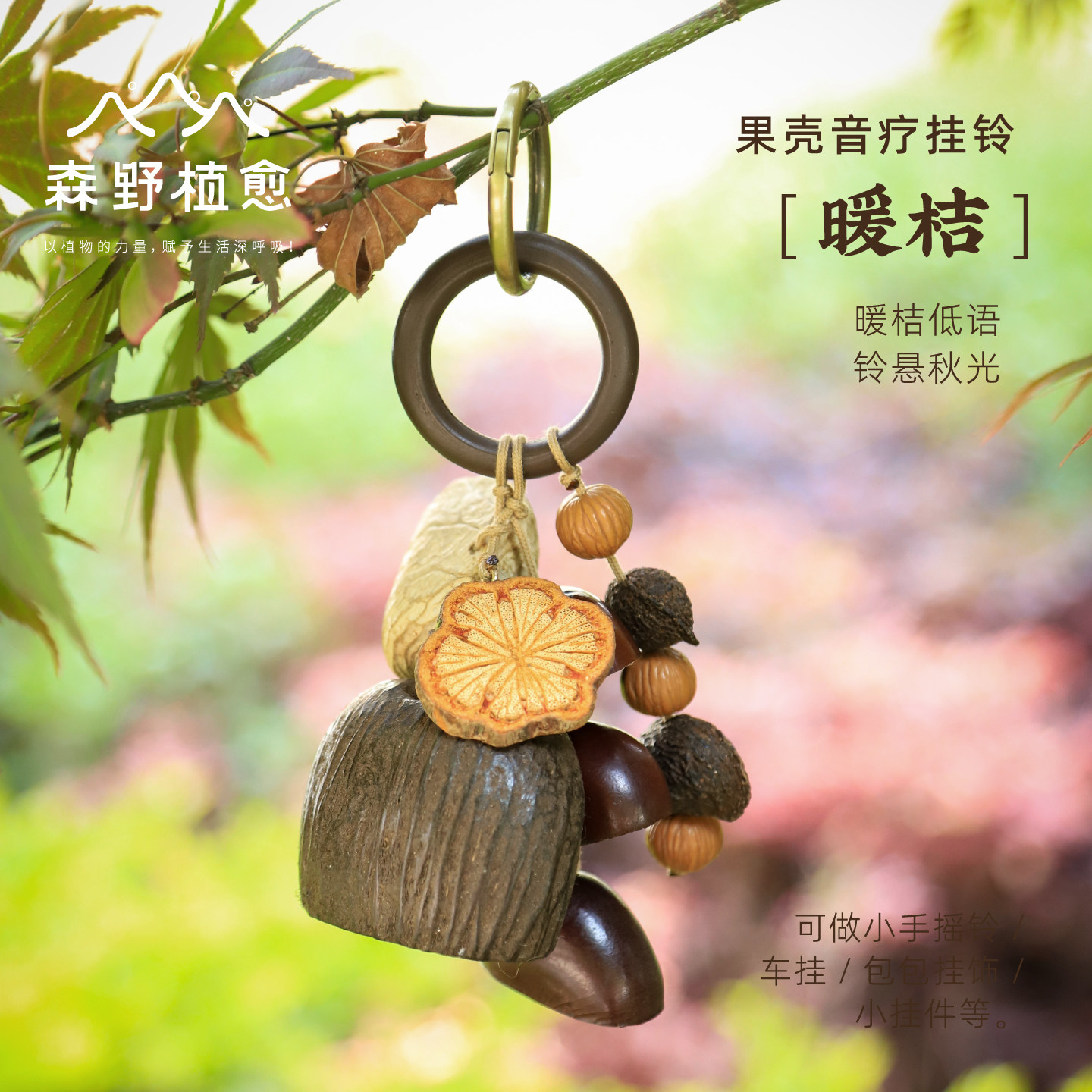 森野植愈天然果壳包包挂件吊饰摇铃送生日礼物有趣的新年挂饰车挂