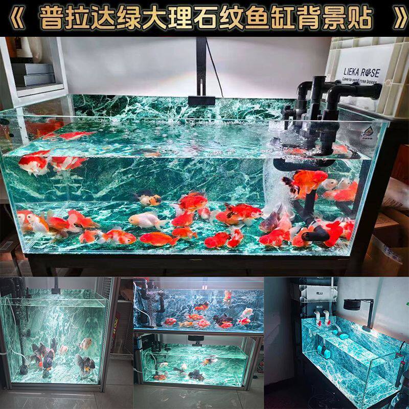 普拉达绿3D高清鱼缸背景贴