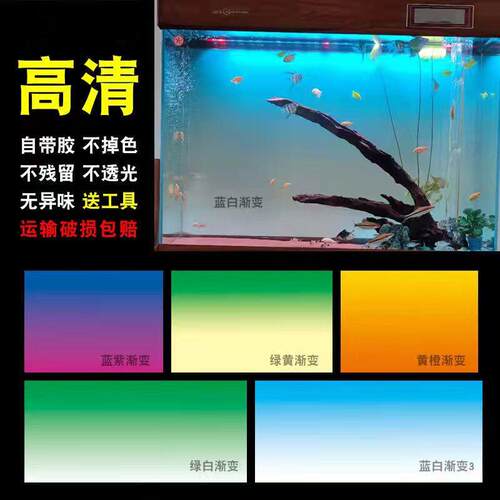 渐变鱼族背景贴纸定制自粘贴