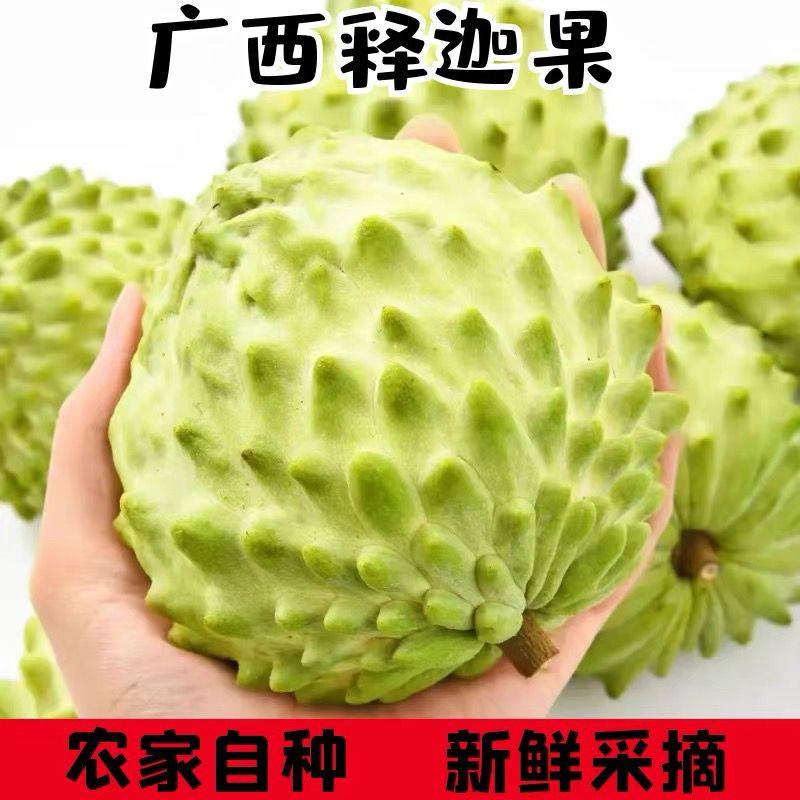 新鲜大目释迦果1斤牛奶凤梨佛头果当季水果冰淇淋番荔枝大果整箱,水产肉类/新鲜蔬果/熟食,番荔枝/释迦,淘宝优惠券,粉丝福利购,淘宝优惠卷