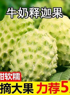 释迦果新鲜番荔枝5斤大目凤梨牛奶佛头果林檎摩尼果当季水果3广西