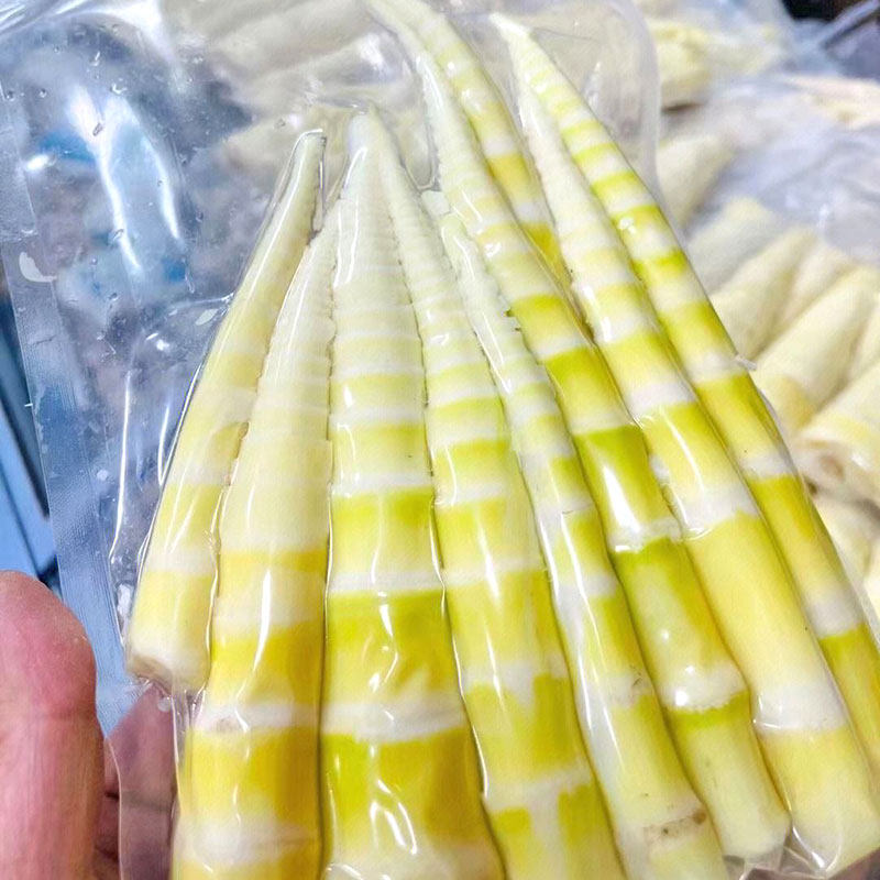 江西特产笋尖新鲜苦笋客家野生春笋现挖去壳竹笋清水苦竹小笋冬笋