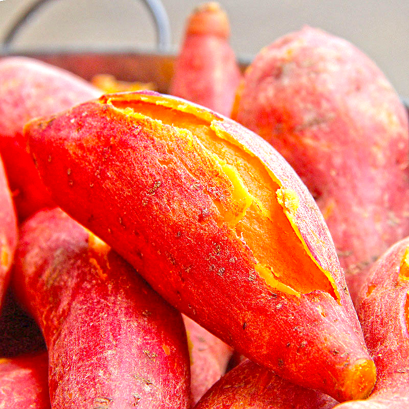 江西富硒红薯新鲜沙地蜜薯