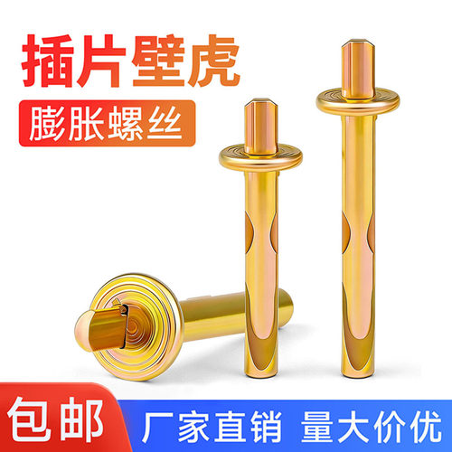 插片壁虎膨胀钉敲击式壁虎膨胀螺丝快速锤击打入式膨胀螺栓M6厂家