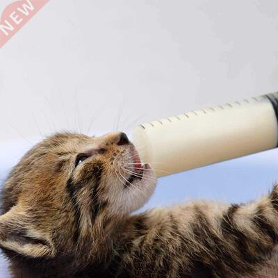 Large Syringe Tubing100ml Reusable Liquid Nutrient Syringe f