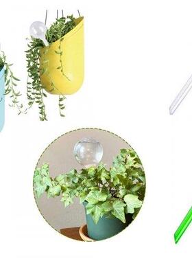 3/5/12PCS Transparent automatic watering bulb, automatic pla