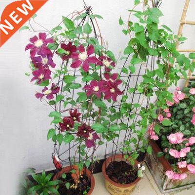 Green Garden Twine Plant Ties Nylon Plant Bandage Garden