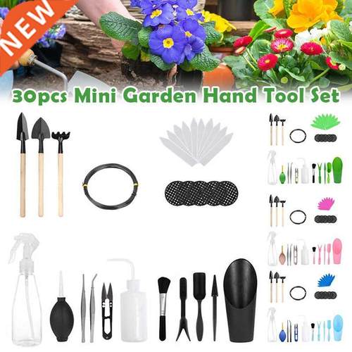 0 Pieces Unique Succulent Tool Set Suitable For The Care