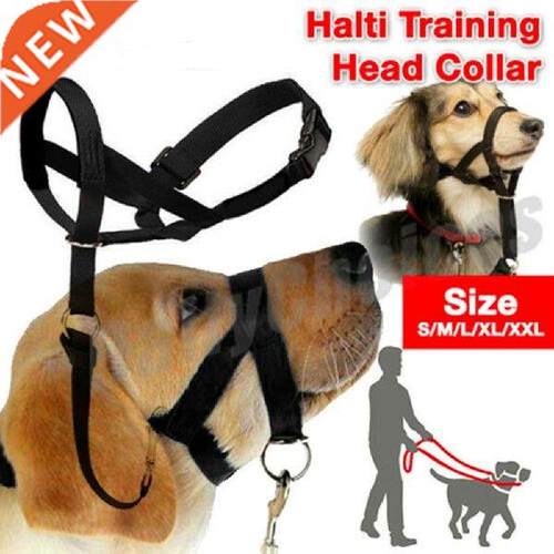 New Harness Adjustable Muzzle Dog Halter Leader Belt Dog