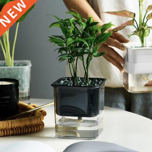 1Pc Transparent Seedling Self Watering Pot, Hydroponic Succu