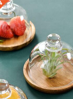 Wood Dessert Plate Nut Fruit Cake Storage Tray with Cover