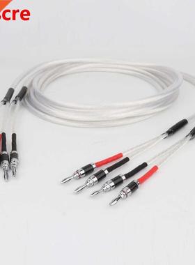 1Pair HIFI Silver-plated Speaker Cable Hi-end 4N OFC Speaker